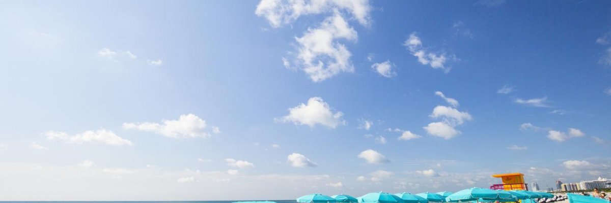 The Palms Hotel & Spa****+