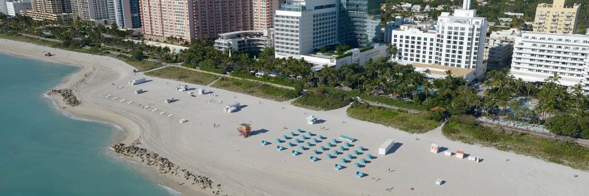 The Palms Hotel & Spa****+