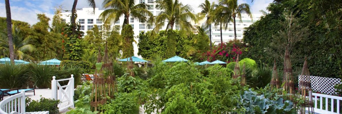 The Palms Hotel & Spa****+