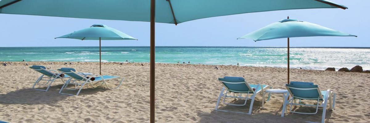 The Palms Hotel & Spa****+