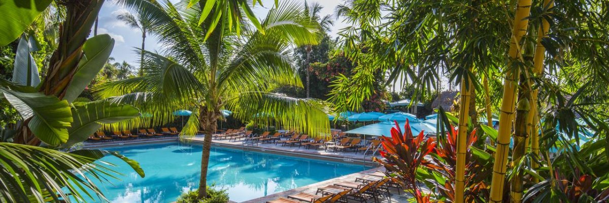 The Palms Hotel & Spa****+