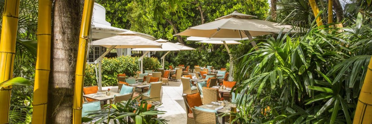 The Palms Hotel & Spa****+