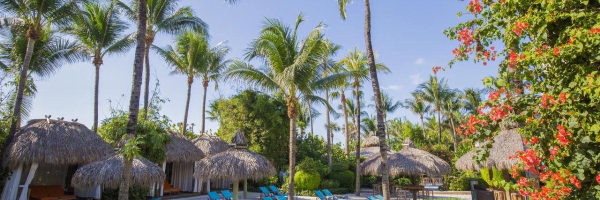 The Palms Hotel & Spa****+