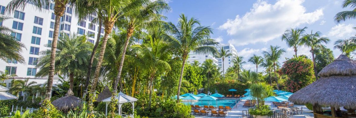 The Palms Hotel & Spa****+