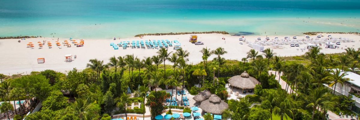 The Palms Hotel & Spa****+