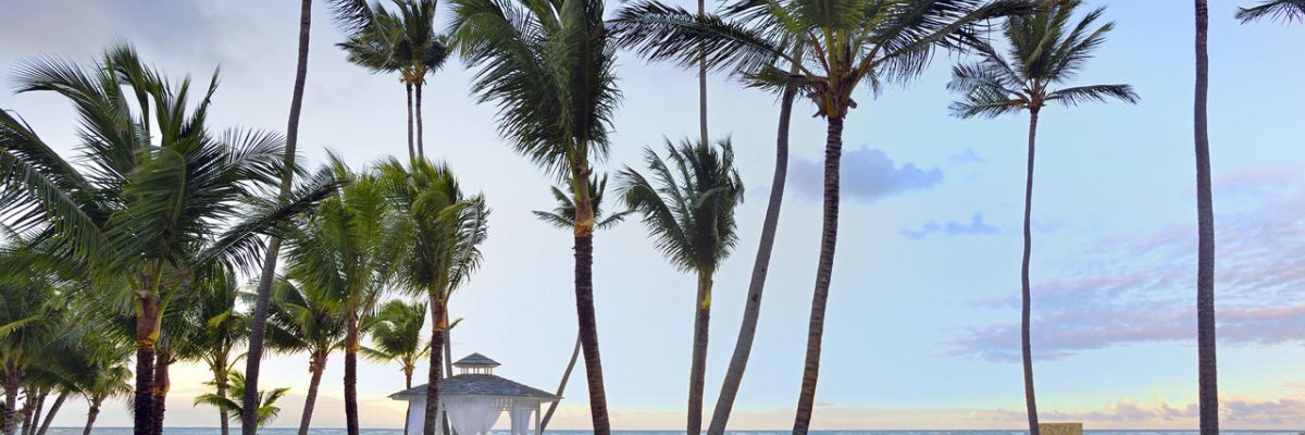 Paradisus Punta Cana*****