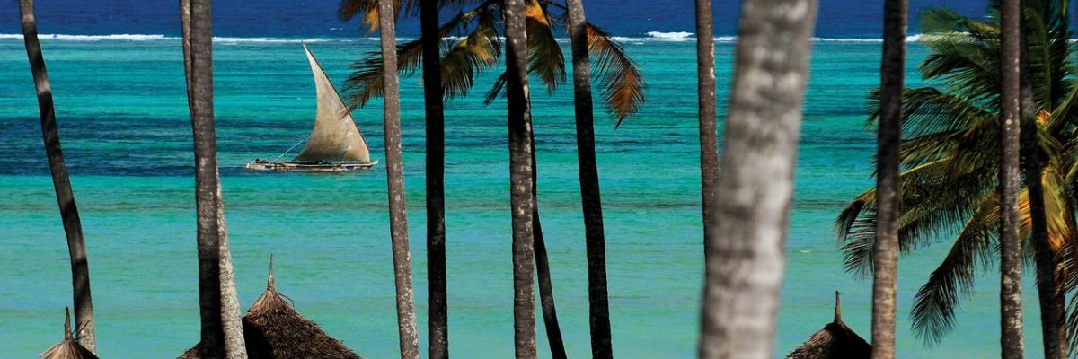 Dream of Zanzibar****+