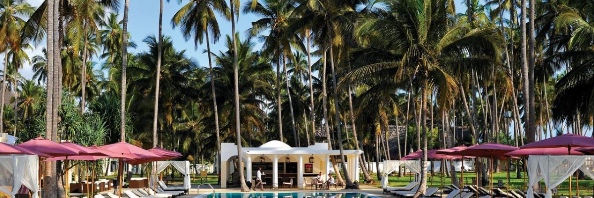 Dream of Zanzibar****+