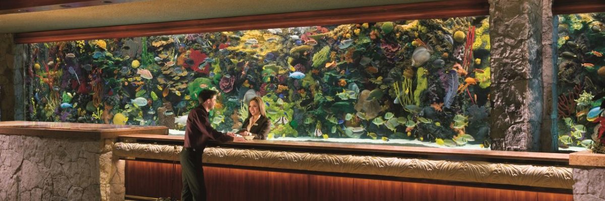 The Mirage & Casino****