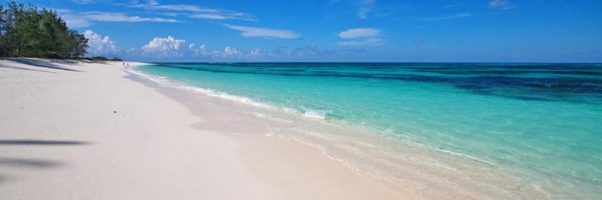 Bird Island Lodge **+