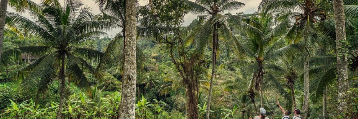 Four Seasons Resort Bali at Sayan Ubud******