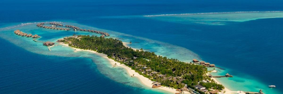 OZEN Reserve Bolifushi*****+