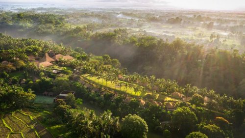 Maya Ubud Resort & Spa*****